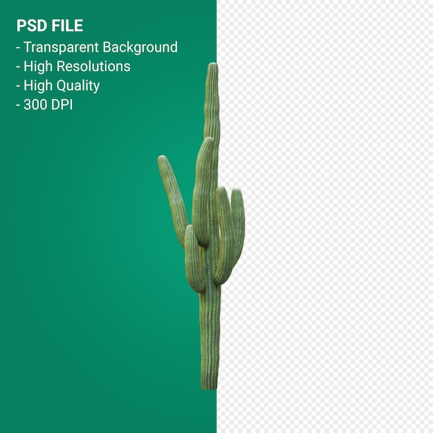 PSD carnegiea gigantea 3d render isolated