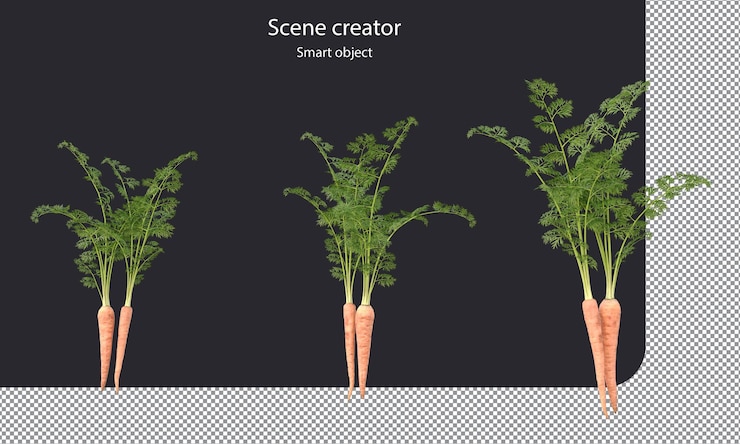 PSD carrot isolated root vegetables clipping path