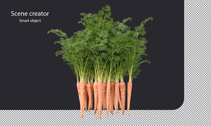 PSD carrot isolated root vegetables clipping path