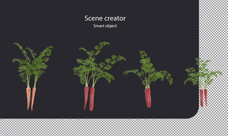PSD carrot isolated root vegetables clipping path