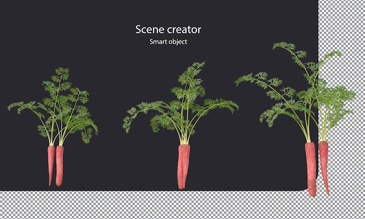 PSD carrot isolated root vegetables clipping path