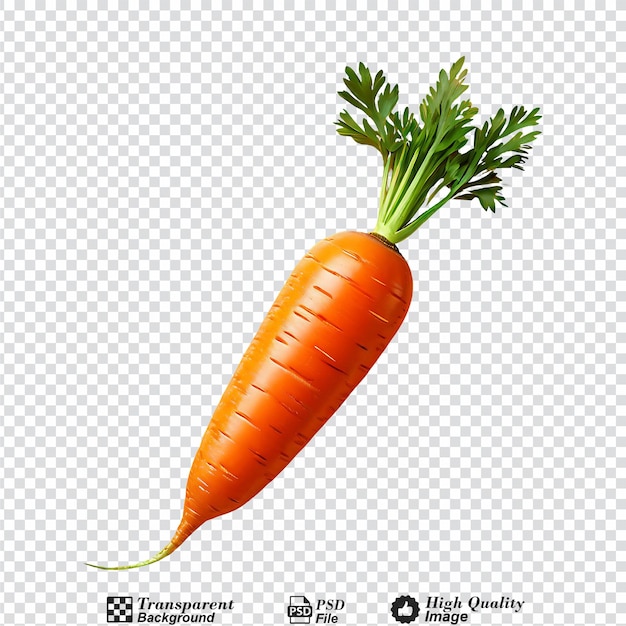 Carrot isolated on transparent background