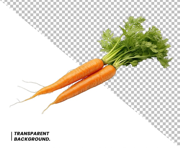 PSD carrot isolated