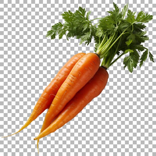 PSD Морковь на прозрачном фоне