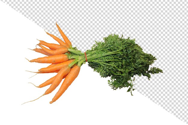 PSD carrot png