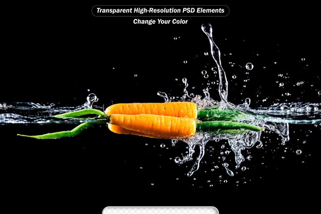 Carrot in the water splash over black background