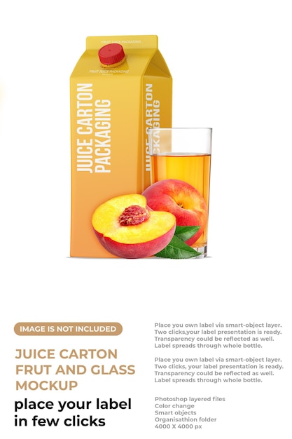 PSD carton juice packaging box