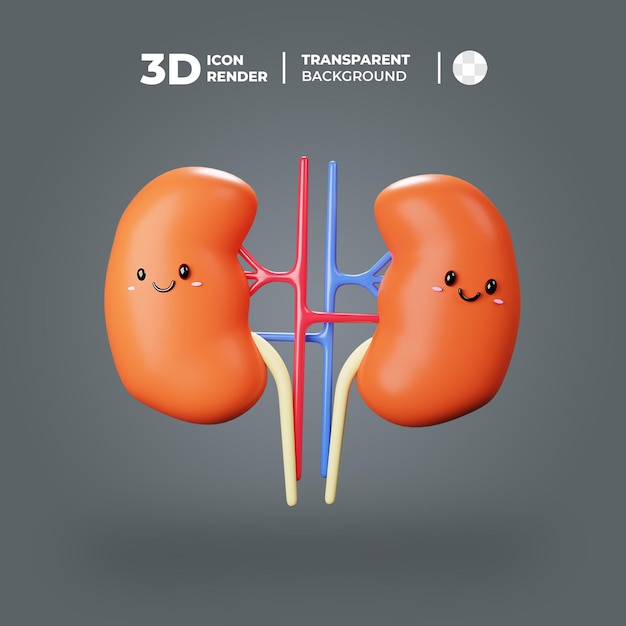 A cartoon of a kidney with the words 3d icon on it