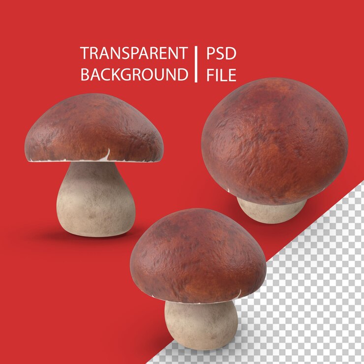 PSD мультфильм гриб png