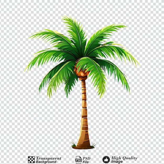 PSD cartoon palm tree isolated on transparent background