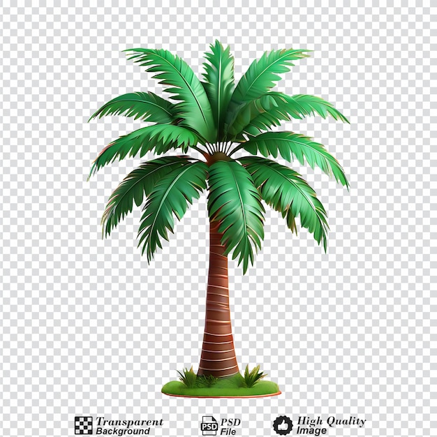 PSD cartoon palm tree isolated on transparent background