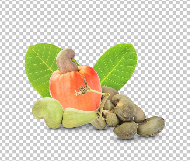 PSD cashew nut apple and fresh cashew nut isolated on white background