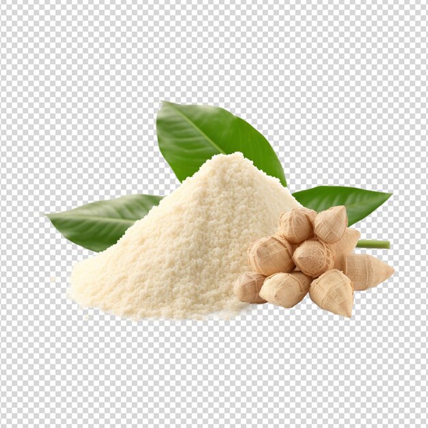 Cassava isolated on a white background