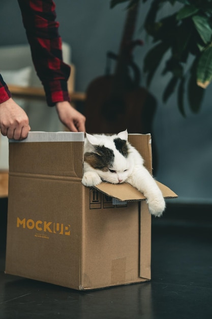 Cat and Box Mockup