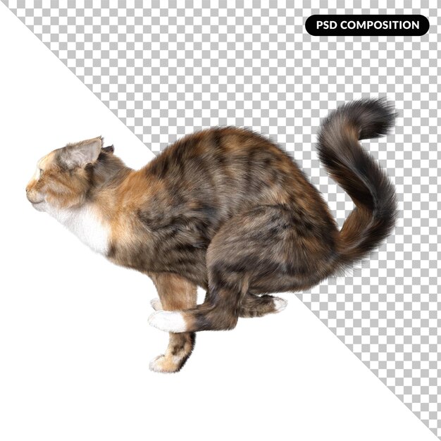 Animale gatto isolato 3d