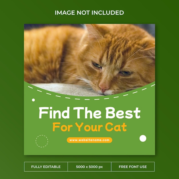 PSD cat care instagram post social media template