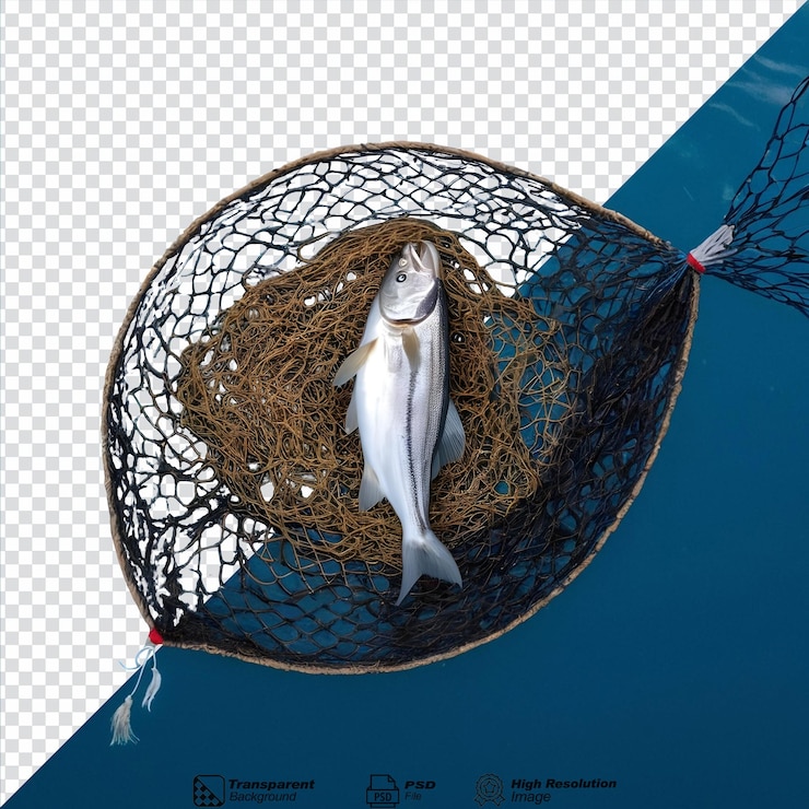PSD catch alaska pollock using a net isolated