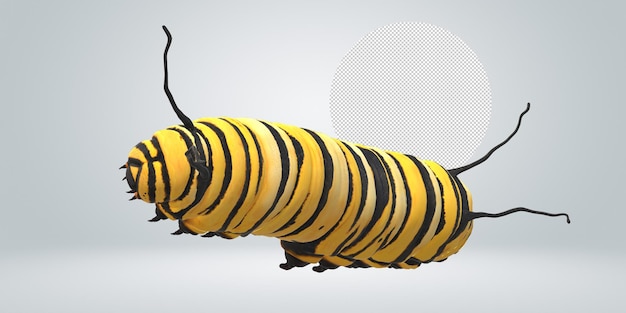 caterpillar isolated on a transparent background