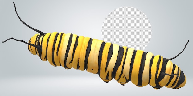 PSD caterpillar isolated on a transparent background