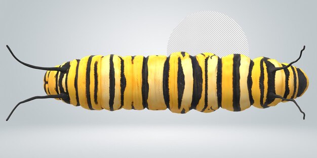 PSD caterpillar isolated on a transparent background