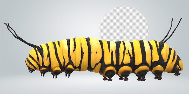 PSD caterpillar isolated on a transparent background