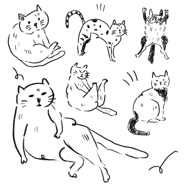 cats schetselementen ontwerp voor sjablonen