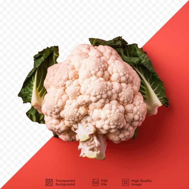 PSD a cauliflower is shown in front of a screen that says 