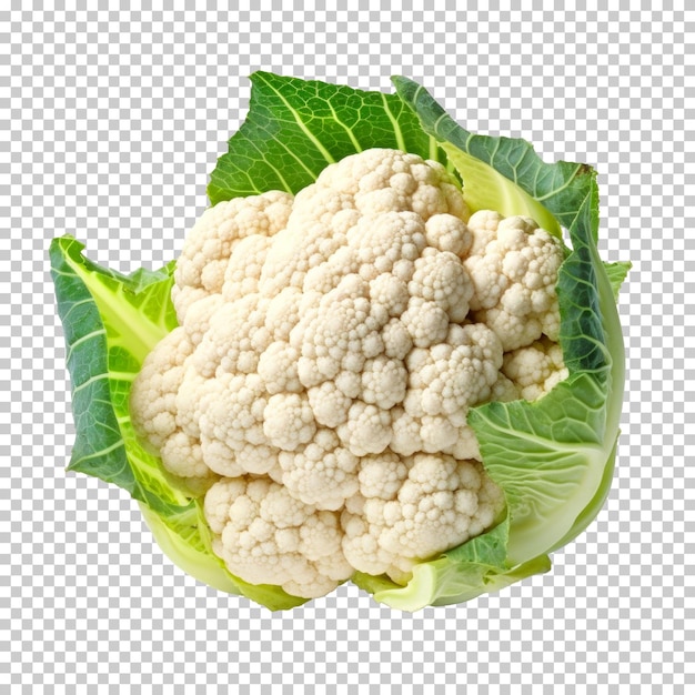 Cauliflower isolated on transparent background