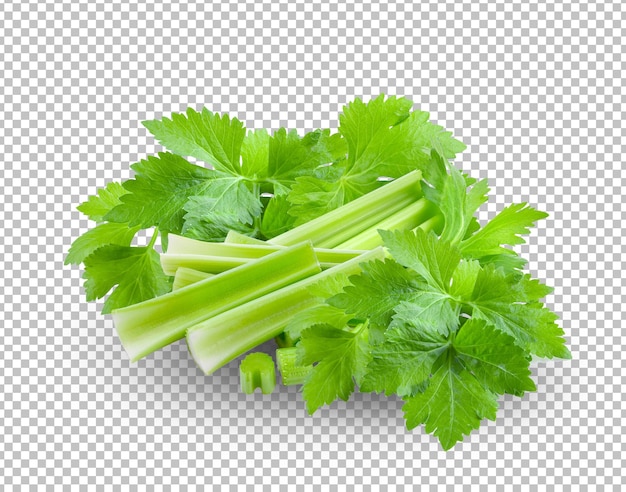 PSD celery isolated on alpha layer