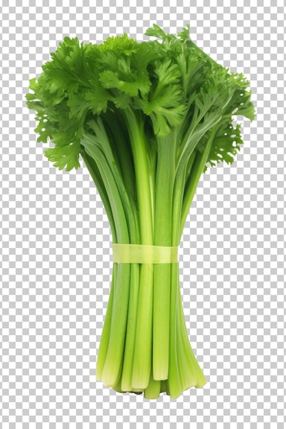 Celery isolated on transparent background