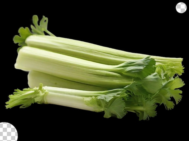 PSD celery png transparent