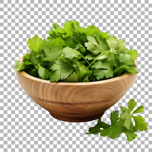 Celery on transparent background