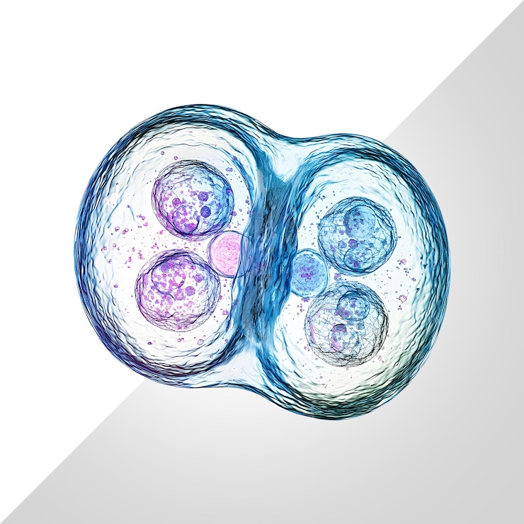 PSD cell division