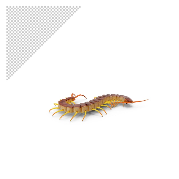 Centipede png