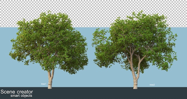 Çeşitli açılardan izole edilmiş güzel ağaçların 3D render'ı