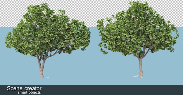 Çeşitli ağaç şekil ve türlerinin 3D render'ı