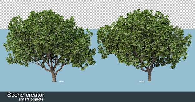 Çeşitli ağaç şekil ve türlerinin 3D render'ı