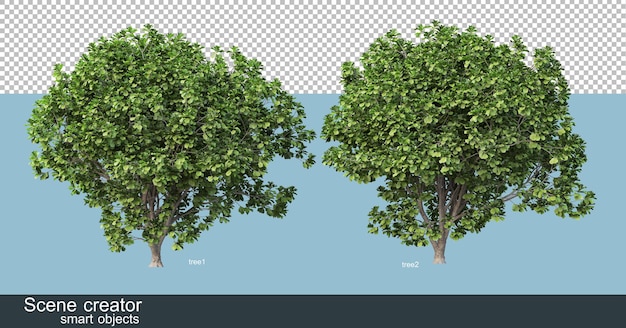 Çeşitli ağaç şekil ve türlerinin 3D render'ı