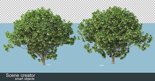 Çeşitli ağaç şekil ve türlerinin 3D render'ı
