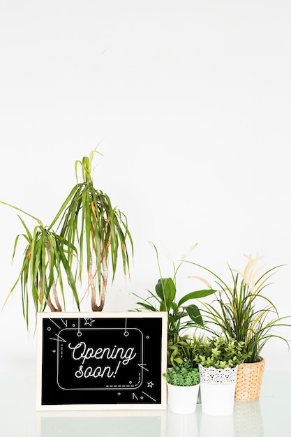 Chalkboard mockup with floral decoration