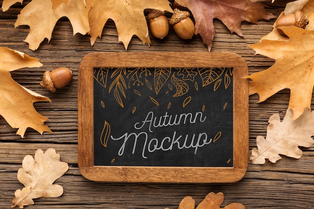 chalkboard with acorns