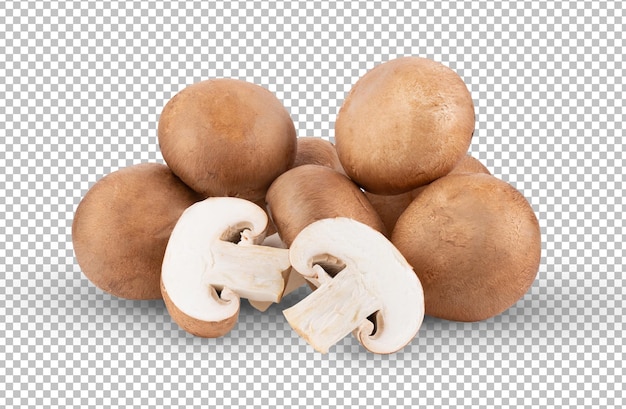 PSD champignon mushrooms isolated on alpha layer