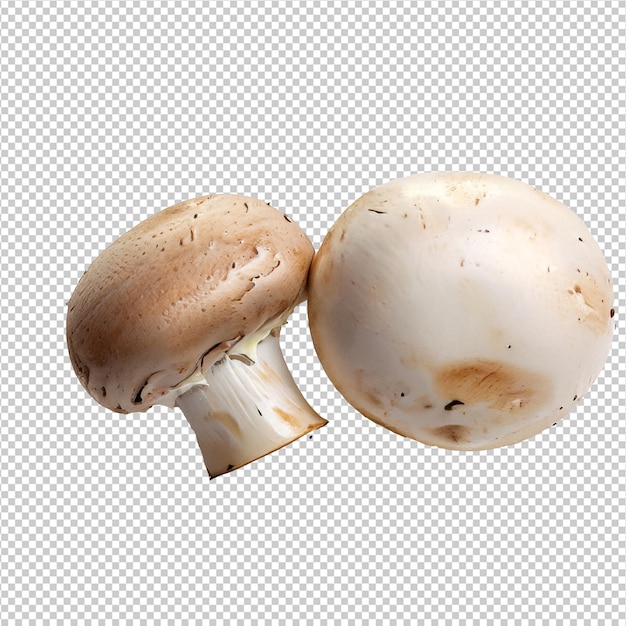 PSD champignon mushrooms on transparent background