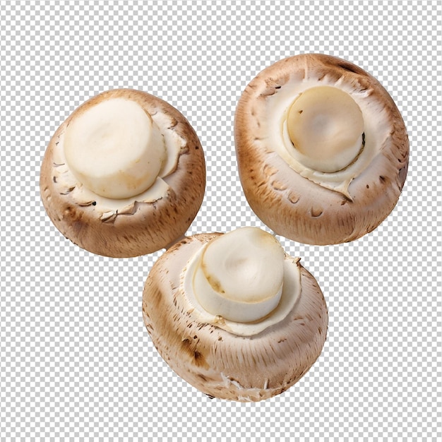 Champignon mushrooms On Transparent Background