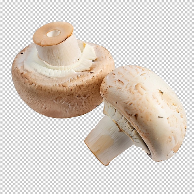 PSD champignon mushrooms on transparent background