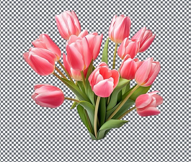 PSD charming tiptoeing tulips isolated on transparent background