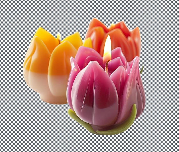 PSD charming tulip shaped scented candles isolated on transparent background