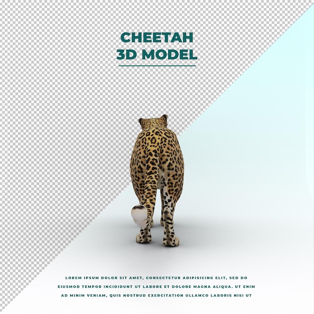 PSD cheetah