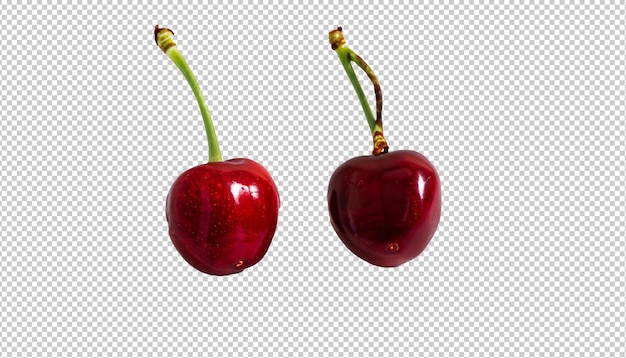 PSD cherry on alpha layer