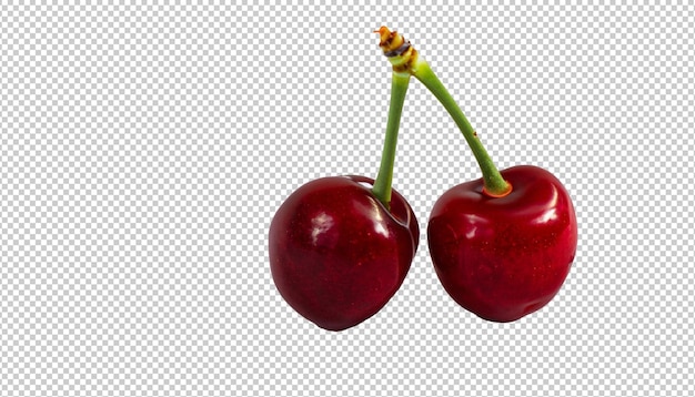 PSD cherry on alpha layer